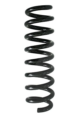 Spidan Fahrwerksfeder [Hersteller-Nr. 86882] für BMW von SPIDAN