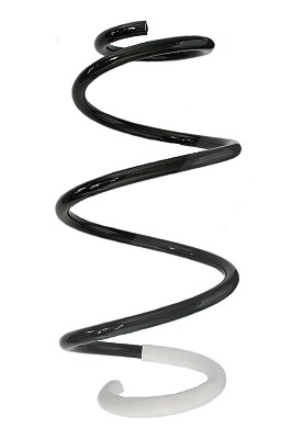 Spidan Fahrwerksfeder [Hersteller-Nr. 88146] für Renault von SPIDAN