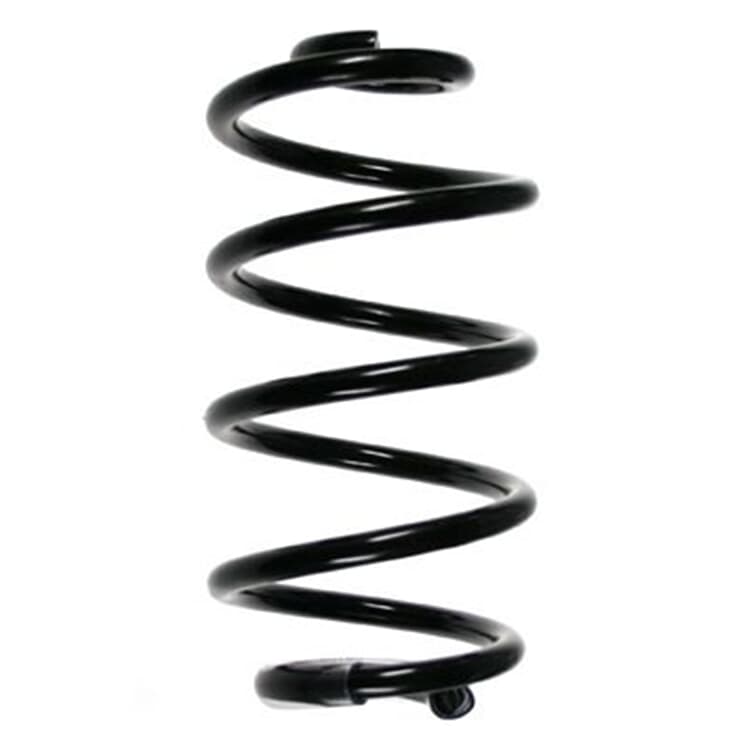 Spidan Feder hinten Renault Clio Spidan Feder hinten Renault Clio von SPIDAN
