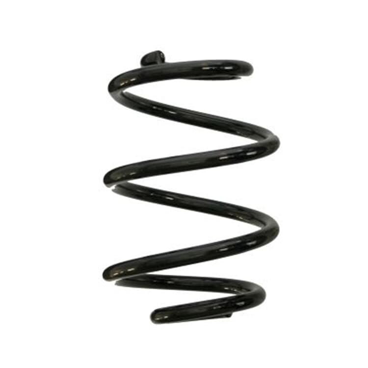 Spidan Feder hinten Renault Twingo Spidan Feder hinten Renault Twingo von SPIDAN