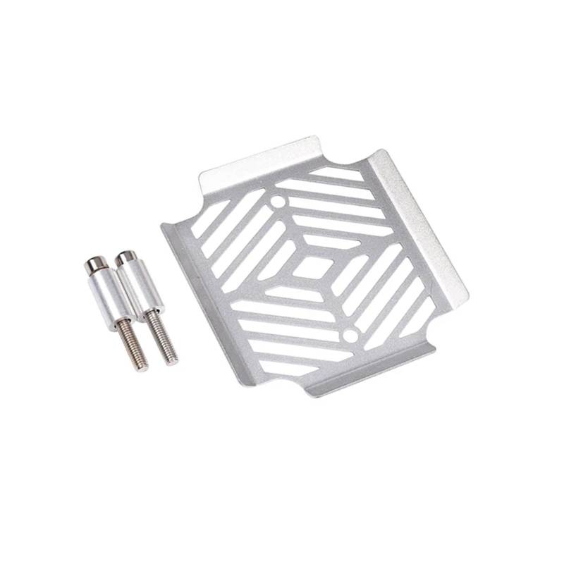 Hinterradgepäckträger Für G310R G310GS G310 GS RG 310R 310GS Spannungsreglergleichrichter Kühlergrill Schutzfolie Kühlergrill Abdeckung Zubehör Motorrad Gepäckträger(Silber) von SPUFKGE