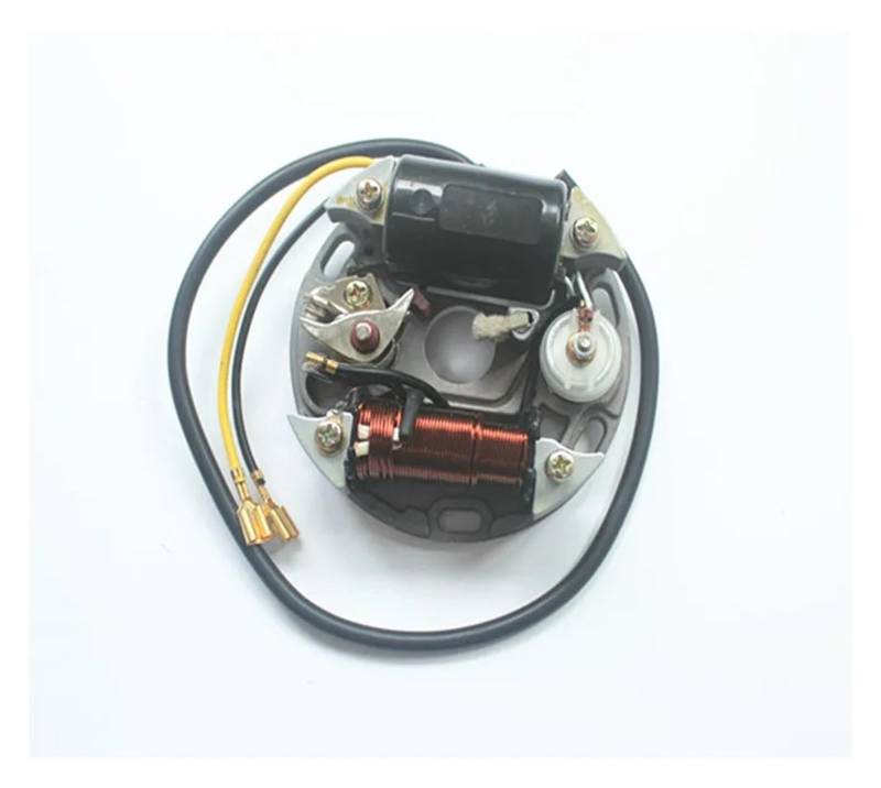 Zündspule 2 Art Für Puch Für Stator Spule 6V 17W 35W Für Zundapp Für Kreidler Für Hercules FÜR Zündung Lichtmaschine Stator Spule 17 W 35 W Zündspulen(17W) von SPUFKGE