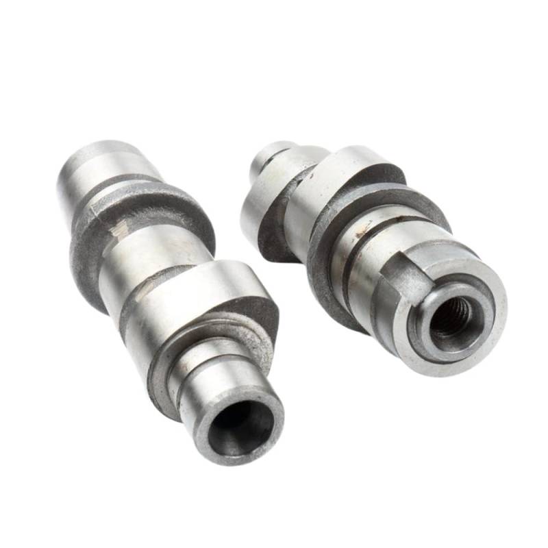2PC-Nockenwellenvergleich mit XV250 XVS250 XV XVS Virago QJ250H 250CC-Modelle 2008-2017 2UJ-12171-00-00 2UJ-12181-00 von SSUMCUWR