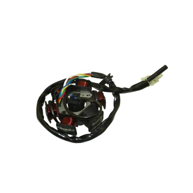 GY6 50cc Zündstator Magneto kompatibel mit Moped -Roller -Modellen wie Sunl und Roketa von SSUMCUWR