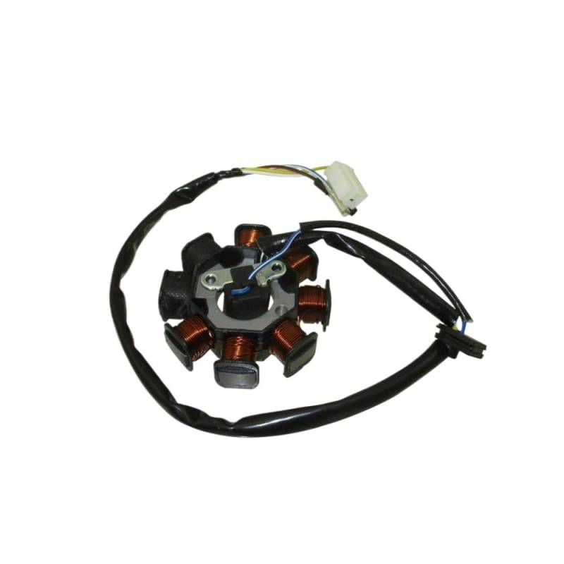 Goten 8 Coils Magneto Stator kompatibel mit GY6, 50cc Mopeds und von verschiedenen Marken von SSUMCUWR