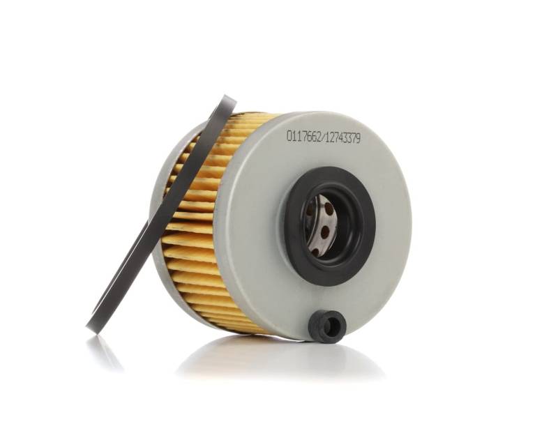 STARK SKFF-0870113 Kraftstofffilter Filtereinsatz, Leitungsfilter mit Dichtring von STARK