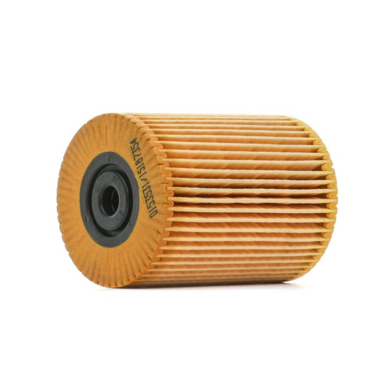 STARK SKFF-0870302 Kraftstofffilter Filtereinsatz von STARK