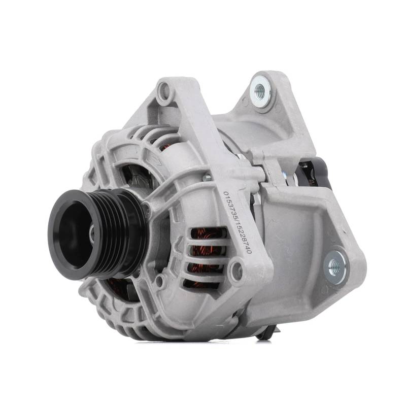 STARK SKGN-0320879 Lichtmaschine Generator Alternator 100A 14V mit Mehrfachriemenscheibe von STARK
