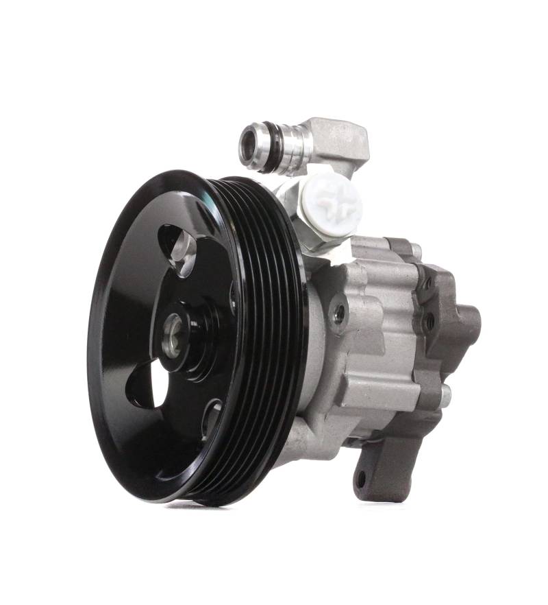 STARK SKHP-0540138 Servopumpe Hydraulikpumpe hydraulisch von STARK