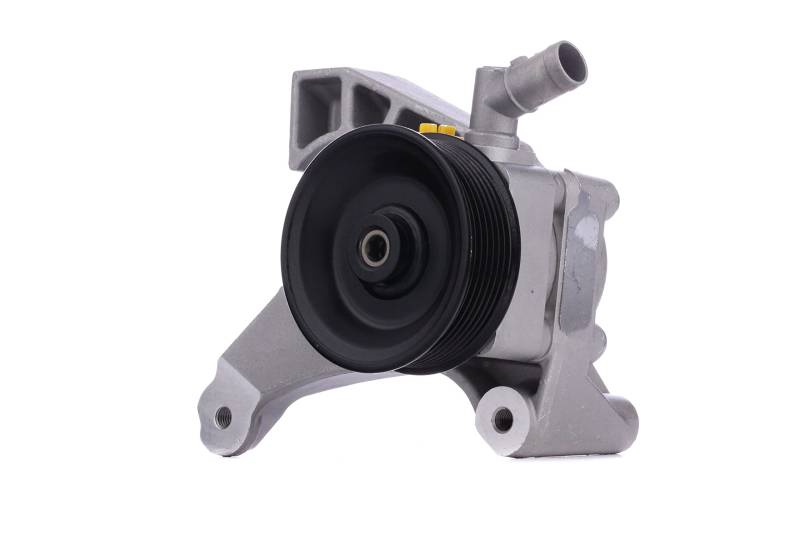 STARK SKHP-0540160 Servopumpe Hydraulikpumpe hydraulisch von STARK