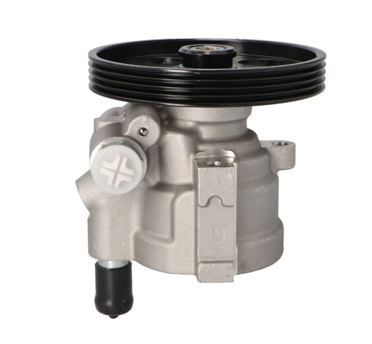 STARQ Hydraulikpumpe RENAULT,DACIA,LADA SQ924-15103 8200888505,491108049R,491108814R 7700431283,8200711391,8200711377,8200888510,491100219R,491106408R von STARQ