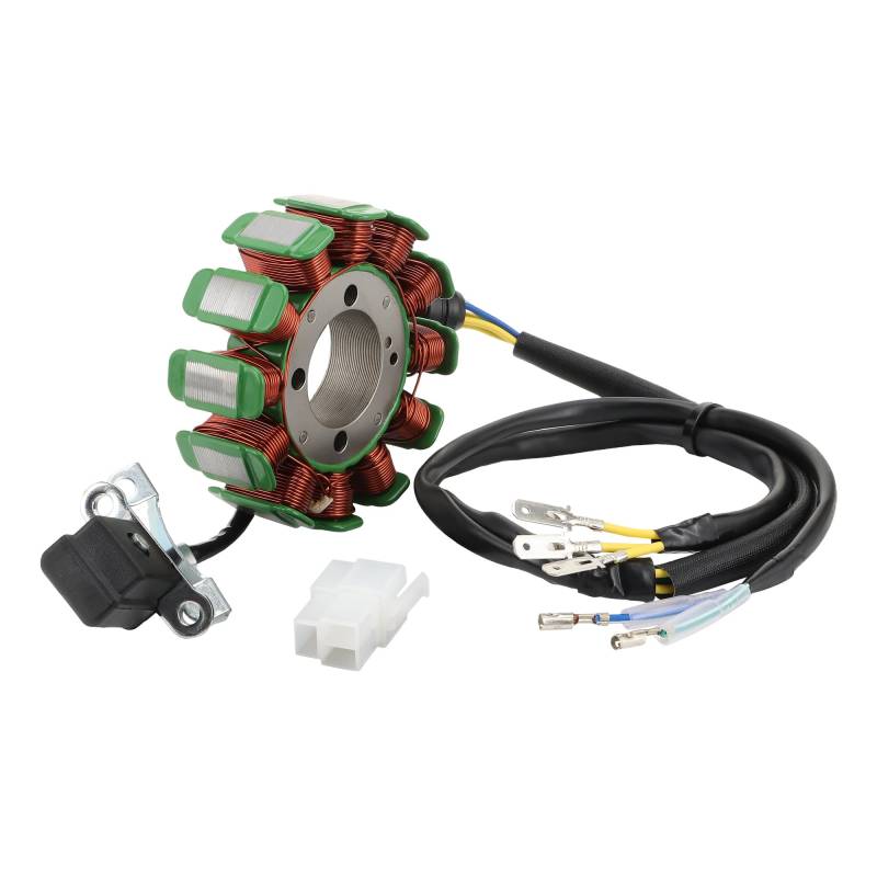 STATOOK 12 Coil 5 Draht Magneto Stator Kompatibel mit 250cc Scooter ATV Dirt Go Kart Pit Bike 4 Wheeler Quad Buggy von STATOOK