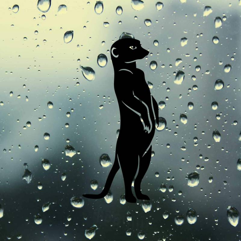 SUPERSTICKI Erdmännchen ca 20cm Auto Aufkleber Tuning Spruch Fun Lustig aus Hochleistungsfolie Aufkleber Autoaufkleber Tuningaufkleber Hochleistungsfolie für alle glatten Flächen UV und was von SUPERSTICKI