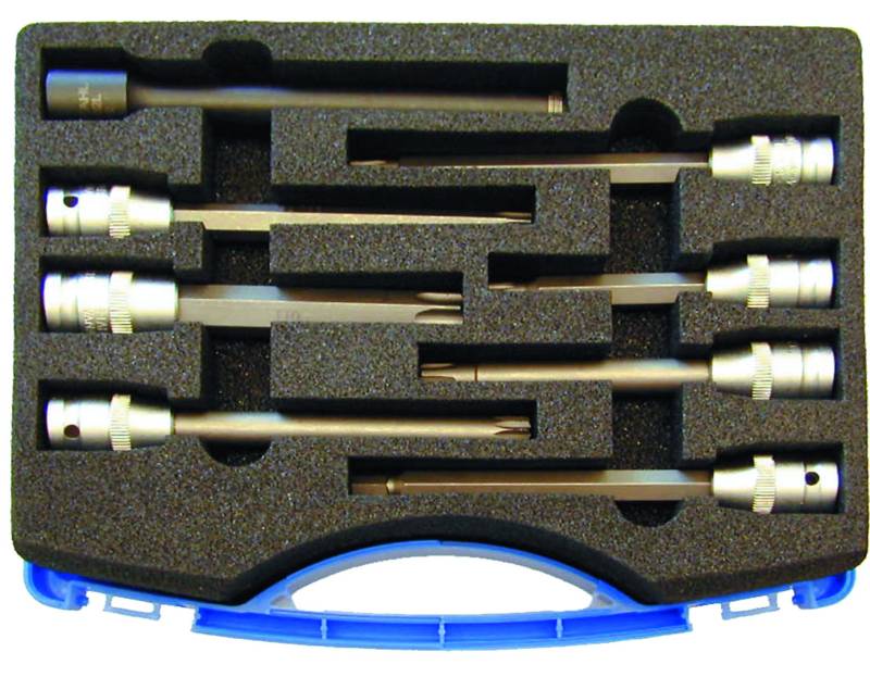 SW-Stahl 04900L Schraubendreheinsätze, 1/2, 8-teilig I Schraubendreher Einsatzsatz I 8-teiliges Bit-Set I Vielzahn-Bitsatz I Spezial-Bitsatz Chrom-Vanadium von SW-Stahl