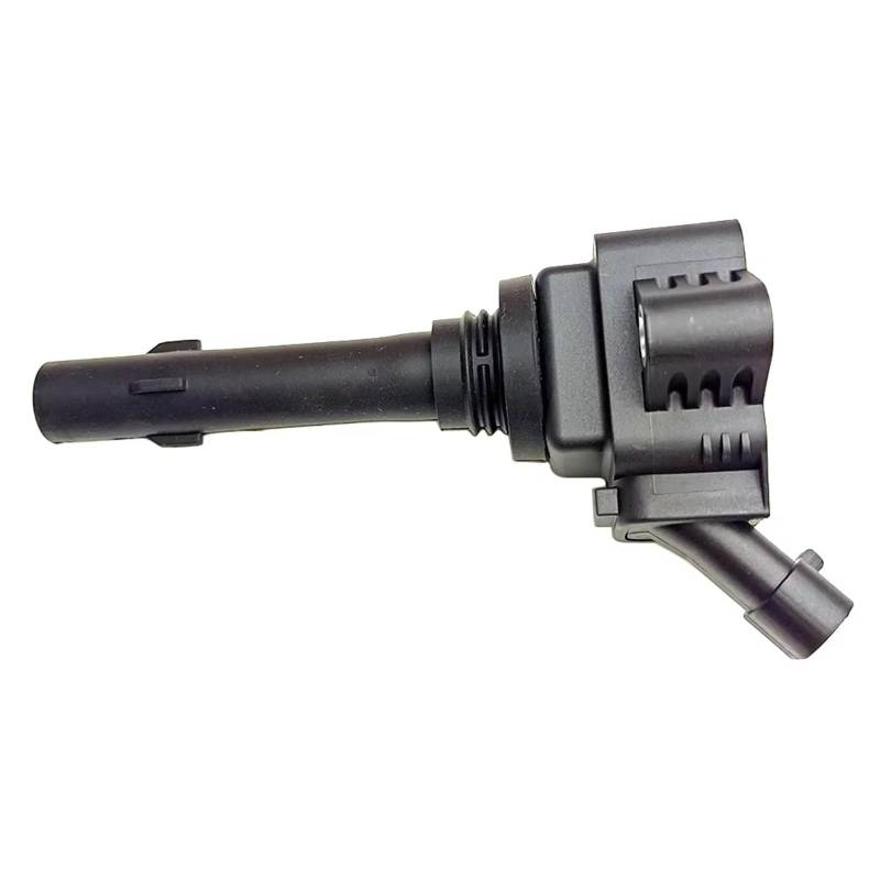 Kompatibel Mit Citroen Für C5 C6 Zubehör Auto Zündkerzen Spule Packs F01R00A102 10130331530000 von SYBLW