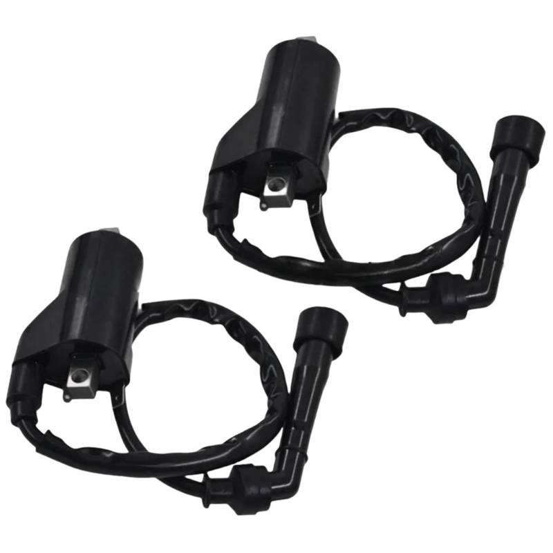 Zündung 2Pcs Motorrad Zündspule Zünden System Einheit Für HYOSUNG GT650 Für COMET GT650R S Moto Zubehör Ersatz von SYHJKX