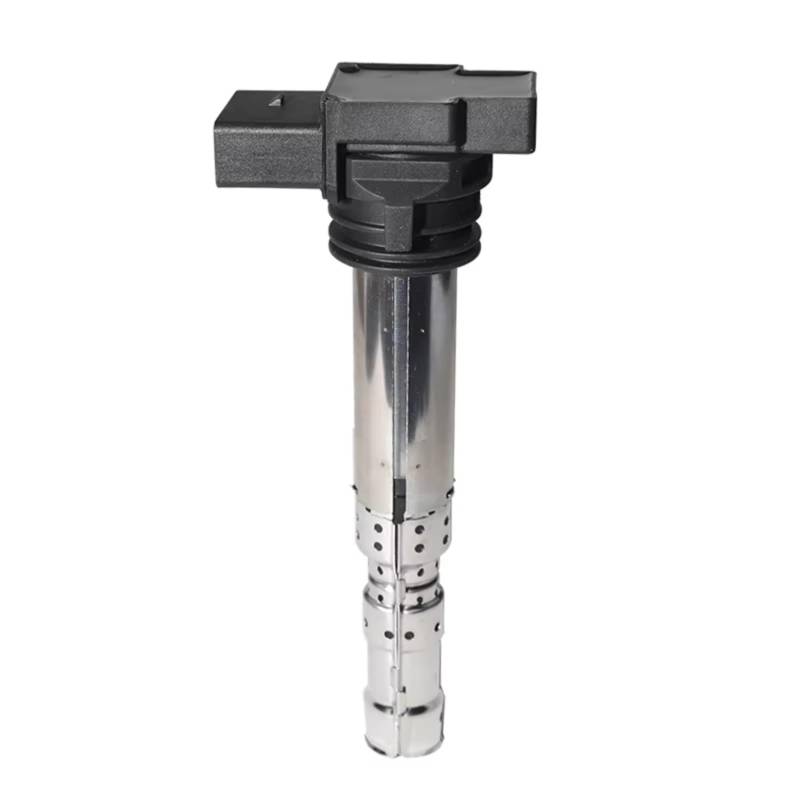 SZYNBQ Kerzenschachtzündspule Kompatibel Mit VW Für Passat Für B5.5 Für Variante 3B6 4.0 W8 Für 4motion 2001 2002 2003 2004 Autozündspule Fahrzeugzündspulenpaket von SZYNBQ
