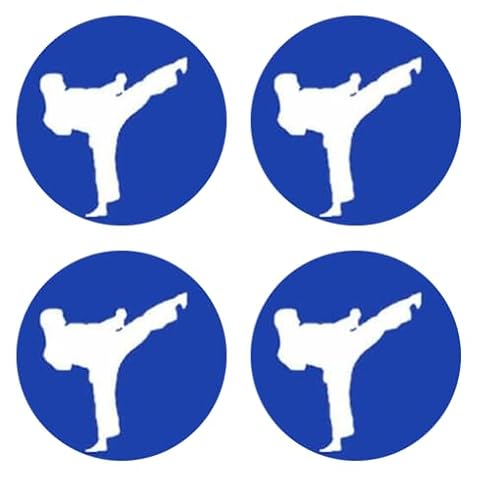 Sammys Shirt Store Karate Kampfsport High Kick Nummernschild/Kennzeichen Aufkleber Autoaufkleber 4er Set Sammys Shirt Store Karate Kampfsport High Kick Nummernschild/Kennzeichen Aufkleber Autoaufkleber 4er Set von Sammys Shirt Store