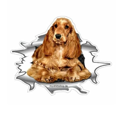 Sammys Shirt Store Mein Bester Freund an Bord-Cocker Spaniel Vinyl-Aufkleber Sticker für Auto 10cm Sammys Shirt Store Mein Bester Freund an Bord-Cocker Spaniel Vinyl-Aufkleber Sticker für Auto 10cm von Sammys Shirt Store