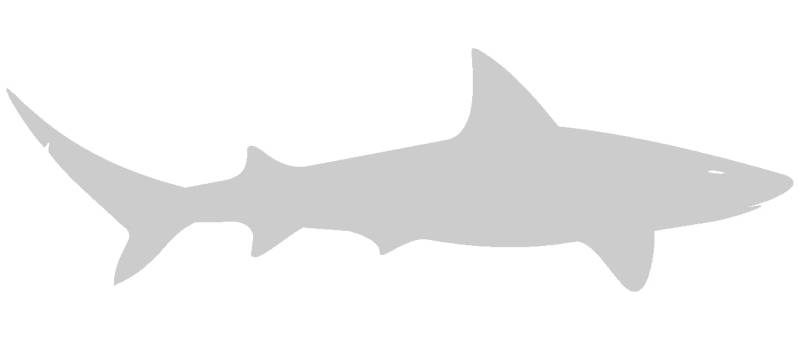 Samunshi® Autoaufkleber Hai Aufkleber in 8 Größen und 25 Farben (10x3,2cm Silber) von Samunshi
