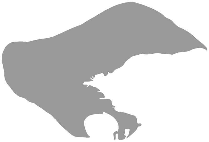 Samunshi® Borkum Aufkleber Insel 8 x 5,4cm grau von Samunshi