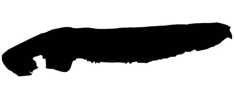 Samunshi® Norderney Aufkleber Insel 30 x 6,9cm schwarz von Samunshi