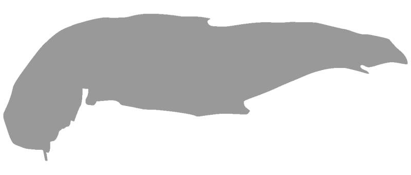 Samunshi® Spiekeroog Aufkleber Insel in 7 Größen und 25 Farben (30x10,8cm grau) von Samunshi