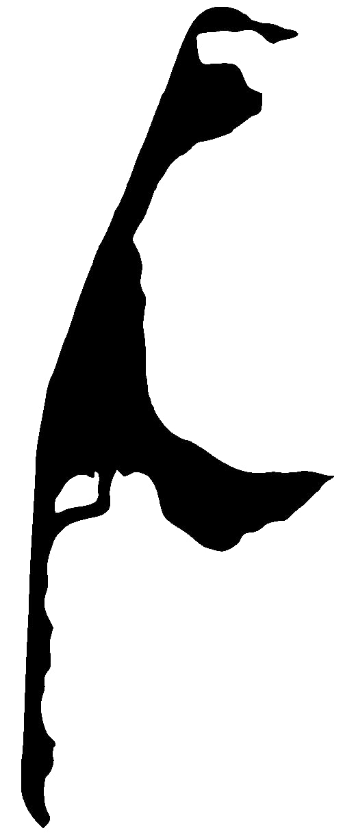 Samunshi® Sylt Aufkleber Insel 19 x 50cm schwarz von Samunshi