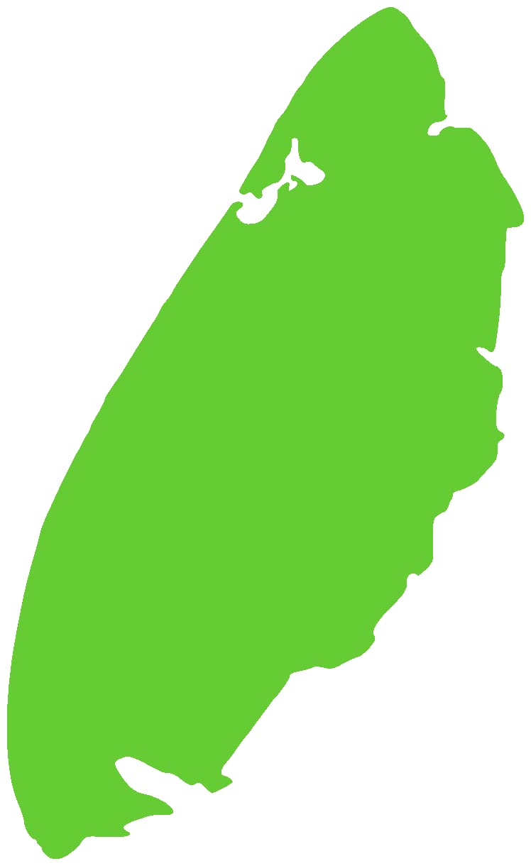 Samunshi® Texel Insel Aufkleber Holland Niederlande in 8 Größen und 25 Farben (6x10cm lindgrün) von Samunshi