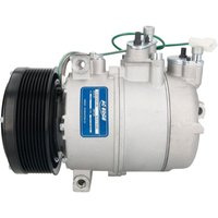 Klimakompressor SANDEN 7PV16-ACE17036 von Sanden