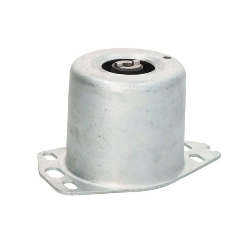 Sasic Lagerung, Motor 9002421 von Sasic