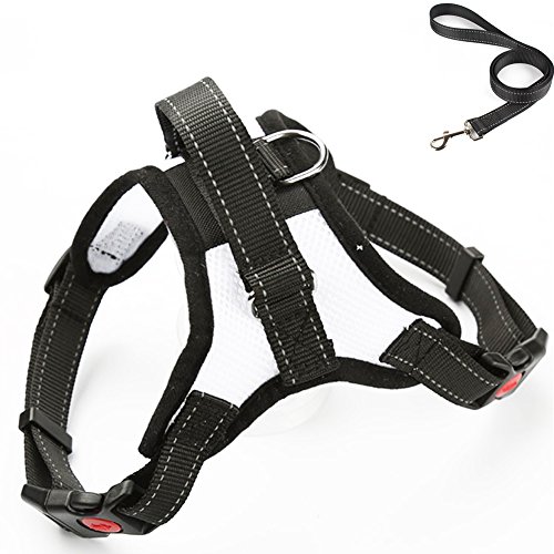 Hundegeschirr mit Auto Sicherheitsgurt Einstellbar Weich Nylon Brustgeschirr mit Griff Mesh Atmungsaktiv Gepolstert Hunde Softgeschirr Powergeschirr Verstellbar,wasserdicht Hund Geschirr Reflektierend für Kleine Mittelgroße Grosse Hunde Haustiere Welpen Hundegeschirr mit Auto Sicherheitsgurt Einstellbar Weich Nylon Brustgeschirr mit Griff Mesh Atmungsaktiv Gepolstert Hunde Softgeschirr Powergeschirr Verstellbar,wasserdicht Hund Geschirr Reflektierend für Kleine Mittelgroße Grosse Hunde Haustiere Welpen von Saulayct