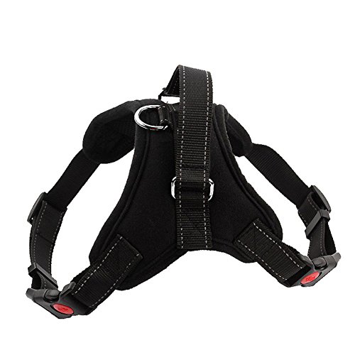 Professional Hundegeschirr mit Griff Soft Gepolstert Hunde Brustgeschirr Powergeschirr Verstellbar,Wasserdicht Hund Geschirr Reflektierend für Kleine Mittelgroße Grosse Hunde Haustiere Welpen Professional Hundegeschirr mit Griff Soft Gepolstert Hunde Brustgeschirr Powergeschirr Verstellbar,Wasserdicht Hund Geschirr Reflektierend für Kleine Mittelgroße Grosse Hunde Haustiere Welpen von Saulayct