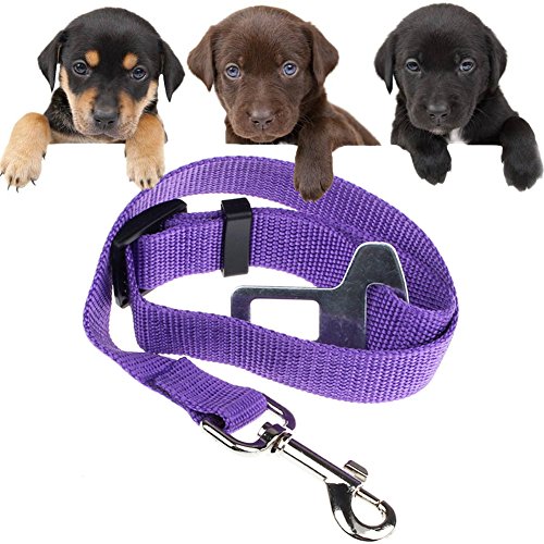 Sicherheitsgurt Hunde fur Auto,Hochwertig Hund Autogurt Nylon Anschnallgurt Hunde Adapter Verstellbar Hundegurt mit 50 -70 cm Einstellbar Hundegeschirr für Kleine Große Hunde in Verschiedene Farben von Saulayct