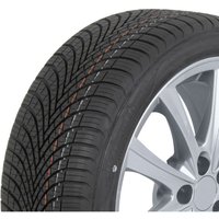 Ganzjahresreifen SAVA All Weather 185/65R15 88H von Sava