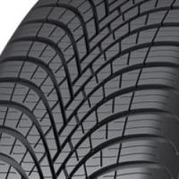 Sava All Weather (205/55 R17 95V) von Sava