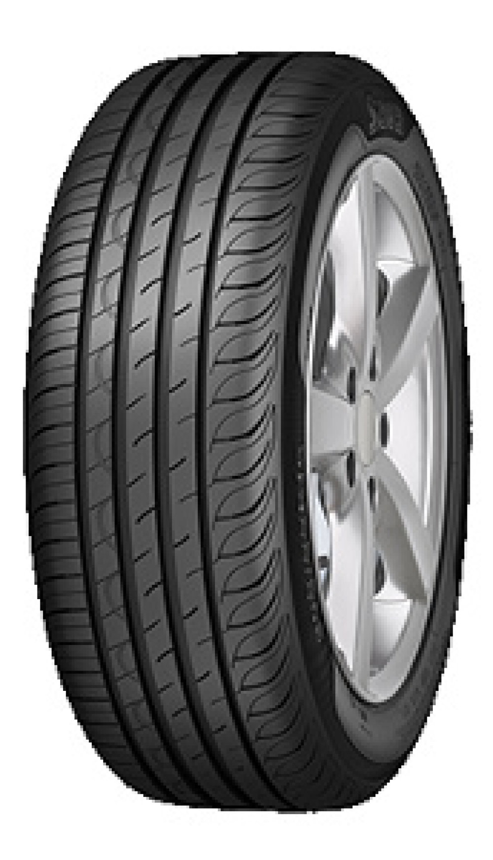 Sava Intensa HP2 ( 205/55 R16 91H ) von Sava