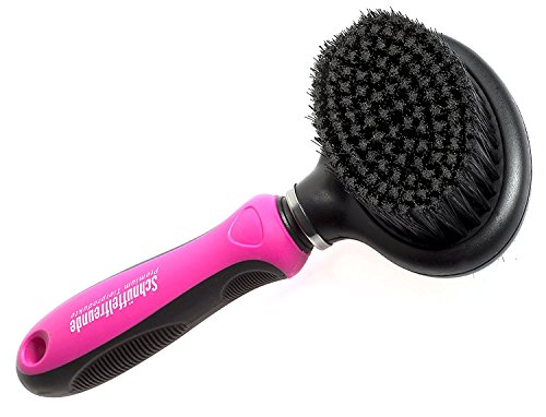 Schnüffelfreunde Professionelle 2-in-1 Kombi Bürste mit flexiblem Griff | Softbürste & Zupfbürste für große, mittelgroße und kleine Hunde und Katzen Schnüffelfreunde Professionelle 2-in-1 Kombi Bürste mit flexiblem Griff | Softbürste & Zupfbürste für große, mittelgroße und kleine Hunde und Katzen von Schnüffelfreunde