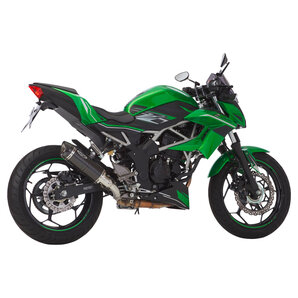 Street GP Auspuffsystem mit EG/BE Carbon, Dämpferlänge: 360 mm Shark Auspuff von Shark Auspuff