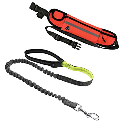 Sharplace Joggingleine Hundeleine Premium Leine für Hunde, Elastisch 140-160cm Leine mit Laufgürteltasche Zum Joggen, Spazieren, Gassi, Radfahren - Orange von Sharplace