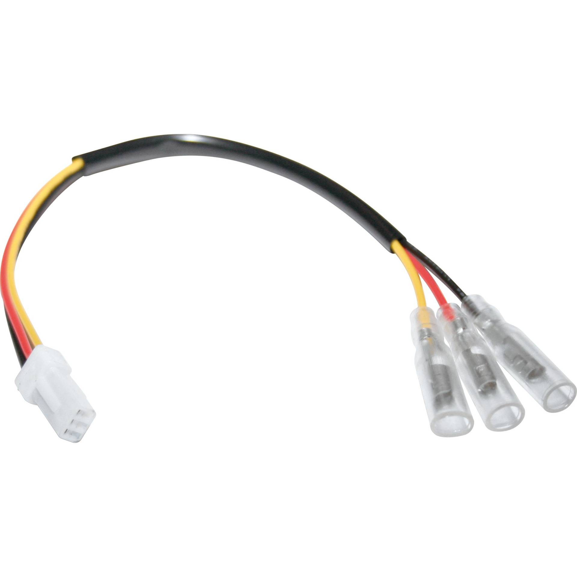 HIGHSIDER smart Rücklichtadapter Rund- an Originalstecker T8 für Ducati HIGHSIDER smart Rücklichtadapter Rund- an Originalstecker T8 für Ducati von HIGHSIDER smart