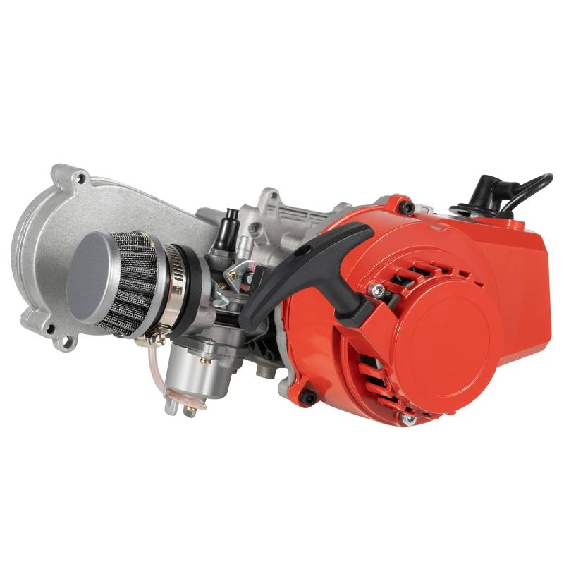 49Cc 2-Takt Pocket Bike Motor Aluminum Benzinmotor Mit Getriebe Vergaser Und Luftfilter FüR Dirt Quad Cross Pocketbike Atv Roller Kinderquad Mini Dirtbike Seilzugstart Zweitaktmotor Silber von Shiyinge
