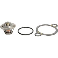 Thermostat SIERRA 18-3618 von Sierra