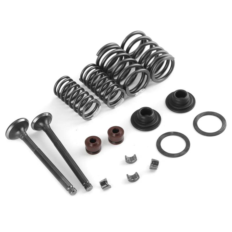 SilkRoadSupply Ventilfeder Montage Kit Motor Ventil Federfeder Stammdichtung Cotter -Baugruppe für GY6 50 60 80 100 125 150 Motorräder 16pcs Metallpolierkit von SilkRoadSupply