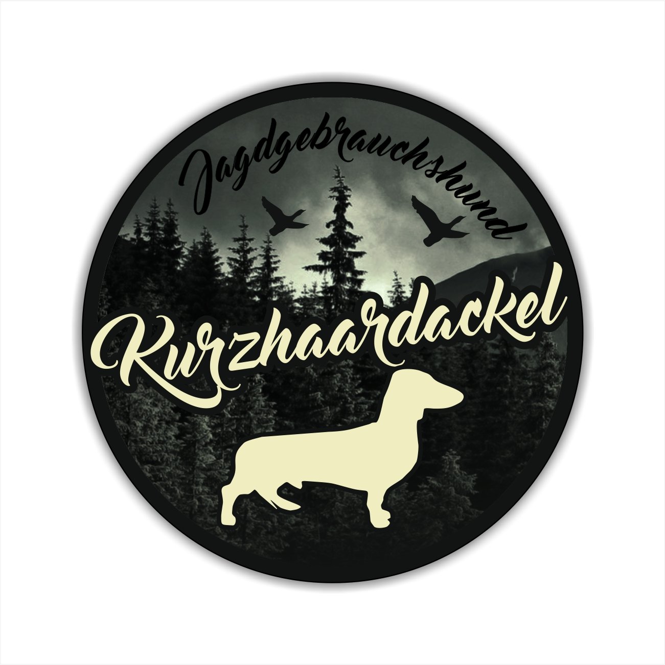 siviwonder Auto Aufkleber JAGDHUND DIGI DACKEL KURZHAAR KURZHAARDACKEL Hundeaufkleber Jagd siviwonder Auto Aufkleber JAGDHUND DIGI DACKEL KURZHAAR KURZHAARDACKEL Hundeaufkleber Jagd von siviwonder