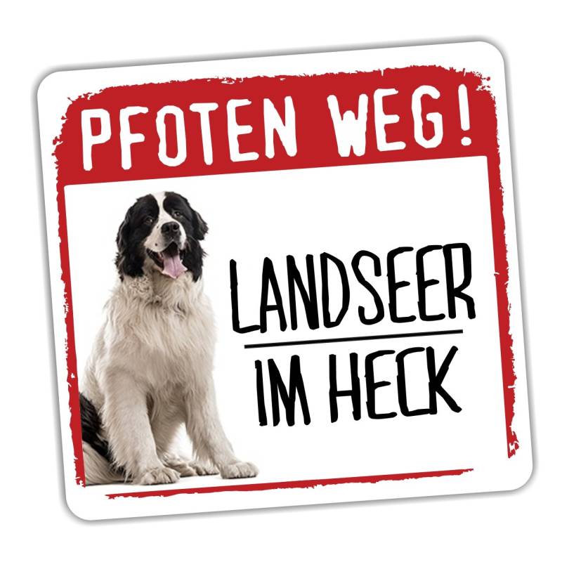 siviwonder Landseer - Pfoten Weg Kleiner Auto Aufkleber Hundeaufkleber REFLEKTIEREND Reflective von siviwonder