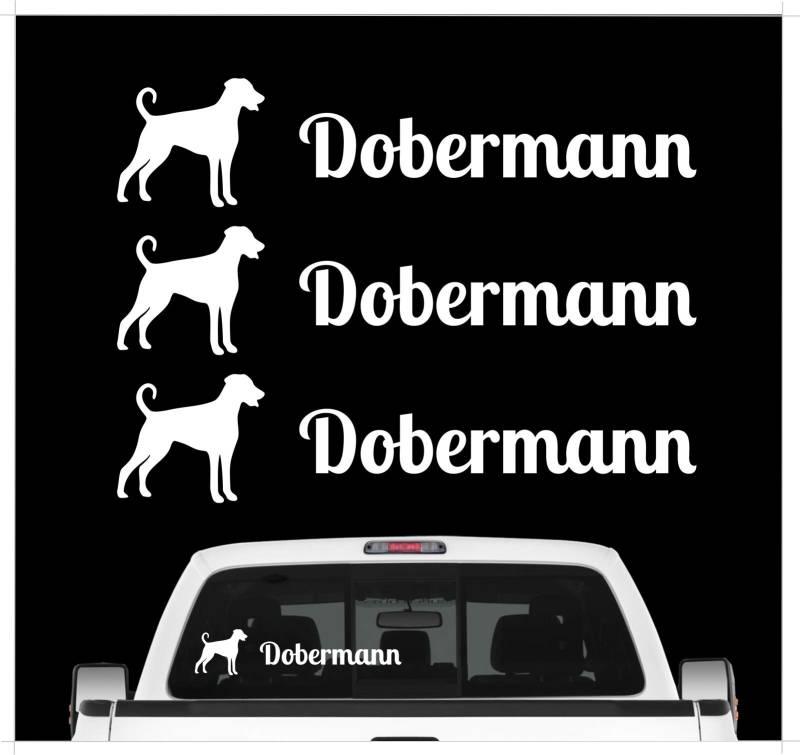 siviwonder Dobermann UNkupiert Dobie - 3er Set Auto Aufkleber Autoaufkleber Hundemotiv Hundeaufkleber autoaufkleber Hund Folie Aufkleber weiß von siviwonder