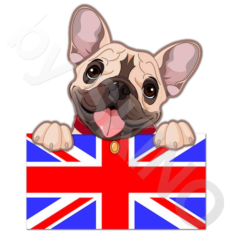 Biomar Labs® 1 x Vinyl Aufkleber Autoaufkleber Sticker Dog Hund Französische Bulldogge French Bulldog mit Union Jack UK Großbritannien England Flagge B 239 von Biomar Labs