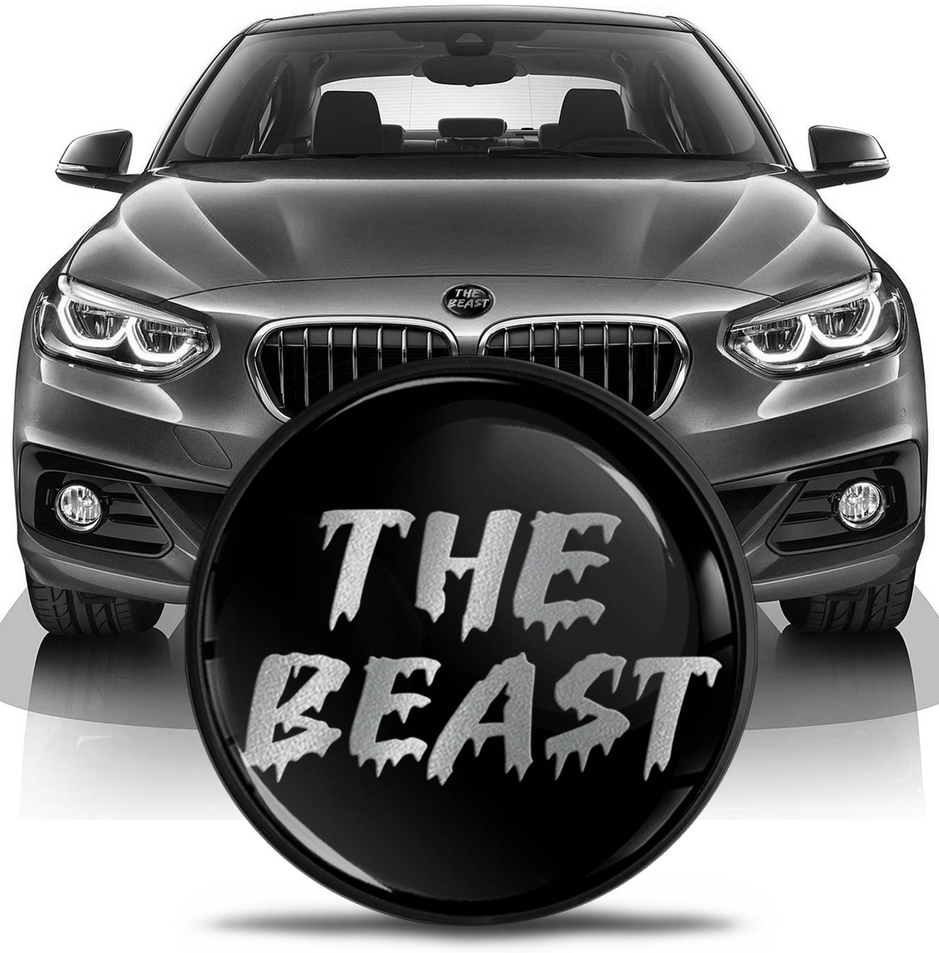 SkinoEu Kompatibel mit BMW Emblem 51147057794 für Motorhaube Kofferraum Plakette Abzeichen Heckklappe 82mm E81 E87 F07 GT F10 F11 F18 E63 E64 F06 GC F12 F13 Z4 E85 / E86 Beast Silber Logo EN 26 von SkinoEu