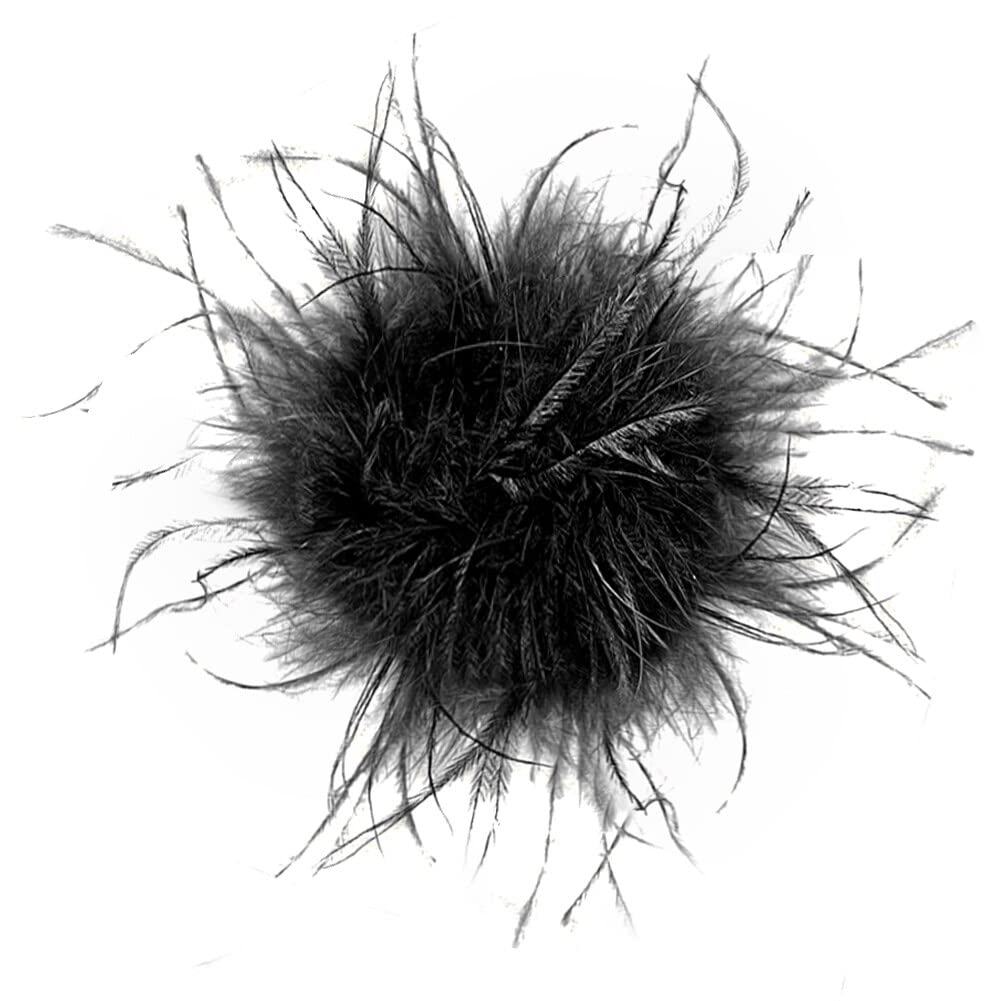 Slakerbe Brosche Pin damen, Feder Brosche Flauschige, Mehrfarbig, Kleidung Brosche Hut Dekorative für Party Stage Performance, Schwarz Slakerbe Brosche Pin damen, Feder Brosche Flauschige, Mehrfarbig, Kleidung Brosche Hut Dekorative für Party Stage Performance, Schwarz von Slakerbe